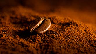 הסיפור מאחורי קפה ערביקה - מאמר