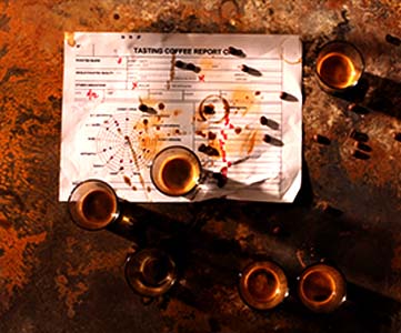 מרכז המבקרים של אוא קפה