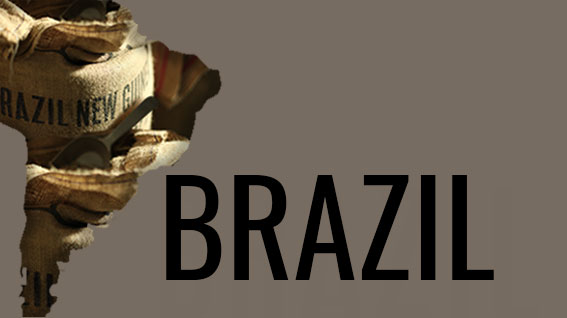 מקורות הקפה - ברזיל - קפה AVA