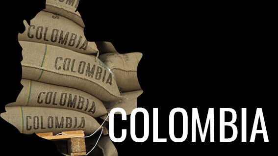 ייבוא קפה מקולומביה - קפה AVA