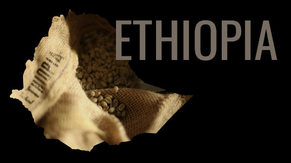 קפה מאתיופיה - קפה AVA