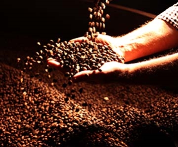 סיפור הקפה של אוא